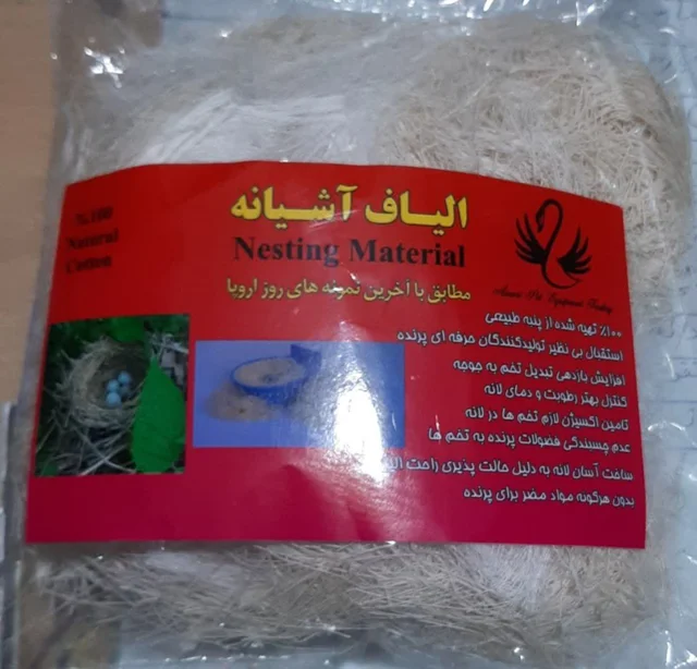 پنبه دانه