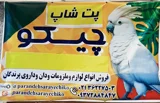 آنلاین شاپ